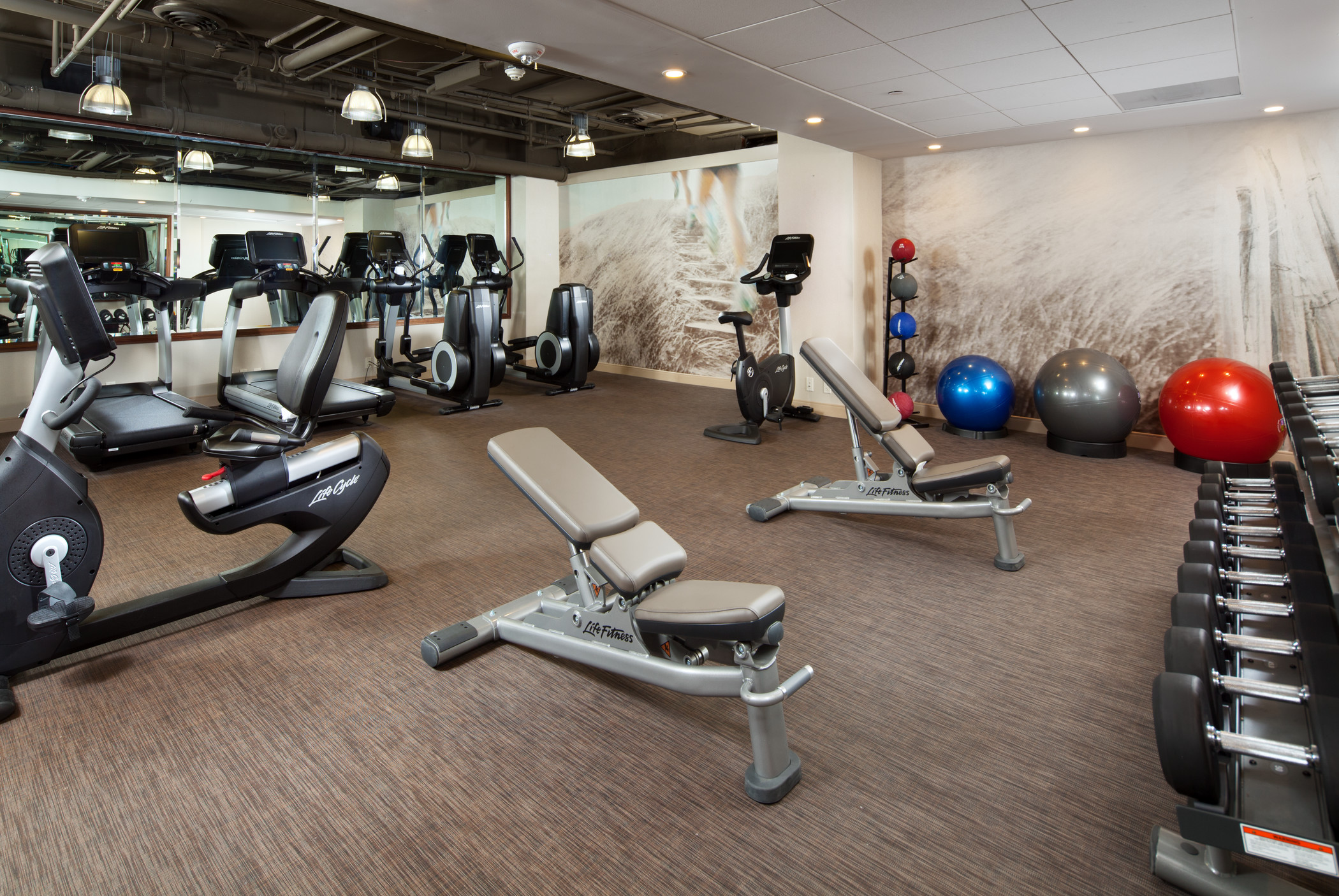 The Westin St Claire fitness center with cardio equipment and free weights